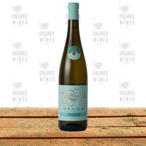 Infinitude “Indígena” Riesling Branco